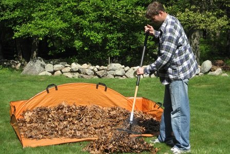 Smart tips to make fall lawn care easier