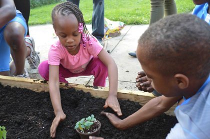 D.C. families plant vegetable gardens