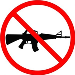 Urgent: Reinstate ban on assault weapons to prevent mass killings