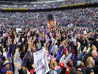 Study reveals Ravens fans among most dedicated