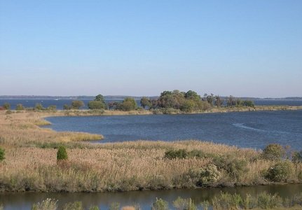 Highest state investment for Chesapeake Bay Trust Fund