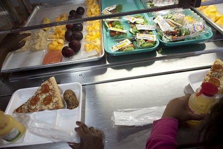 Rules to make school lunches healthier are working, study finds