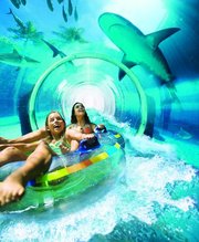 Aquaventure was expanded in 2013 to include a Leap of Faith ride that passes through a shark-filled aquarium. Visitors can swim in a manmade lagoon filled with marine animals. 